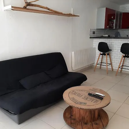 Appartamento Cosy Avec Jardin Près Du Port Et Des Plages à - Fr-1-239-905 *